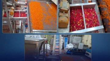 ضبط 26 طن دقيق ومواد غذائية فاسدة داخل مصنع مقرمشات في أكتوبر